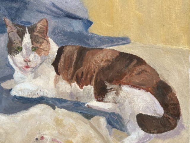 Coco Coco, the Lovely Calico