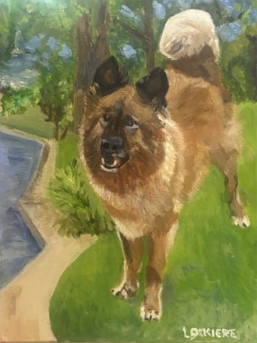 Covo Covo, the Handsome Chow